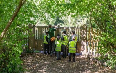 Visit: Holland Park Ecology Centre