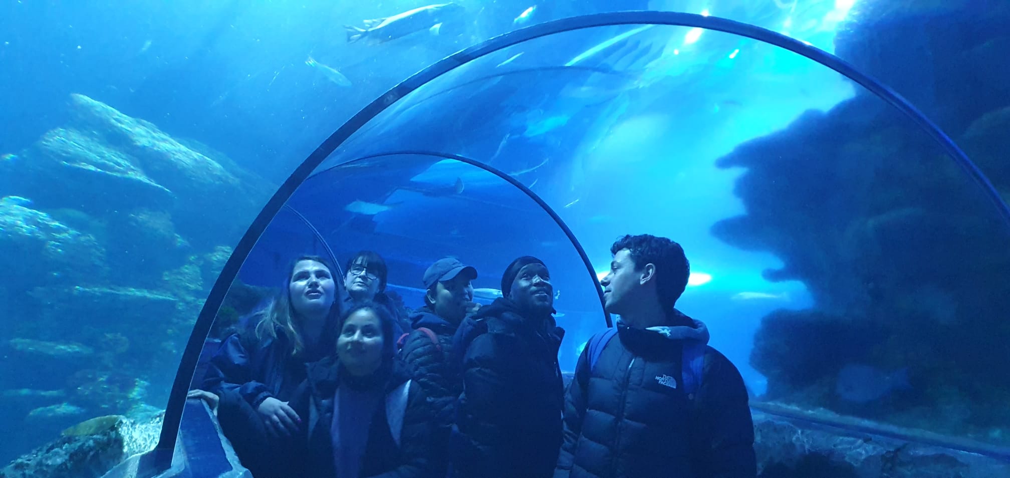 Young people from charity Full of Life visiting the London Aquarium with Westway CT